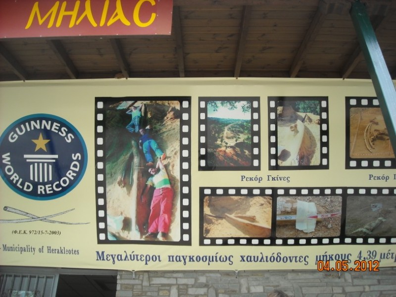 Εικόνα 002.jpg