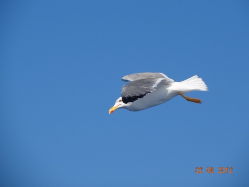 DSC09689.jpg