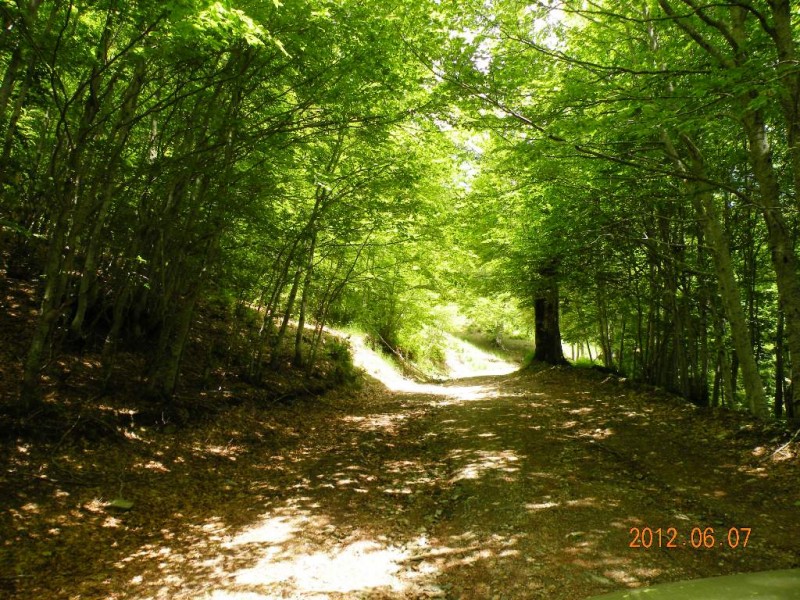 DSCN6207.JPG