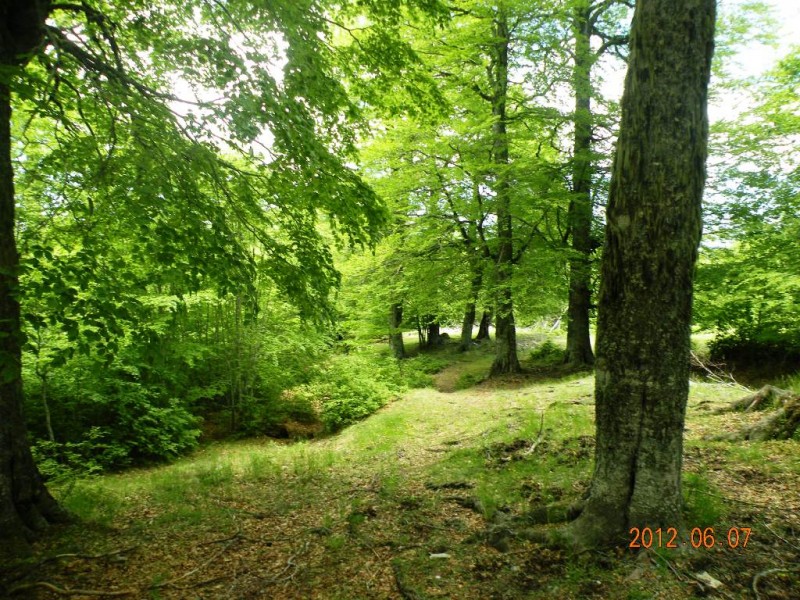 DSCN6208.JPG