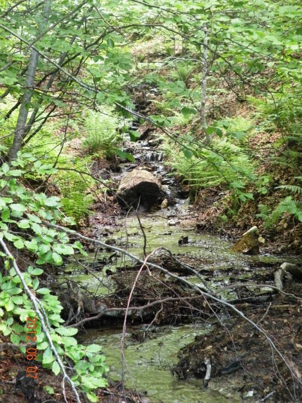 DSCN6226.JPG