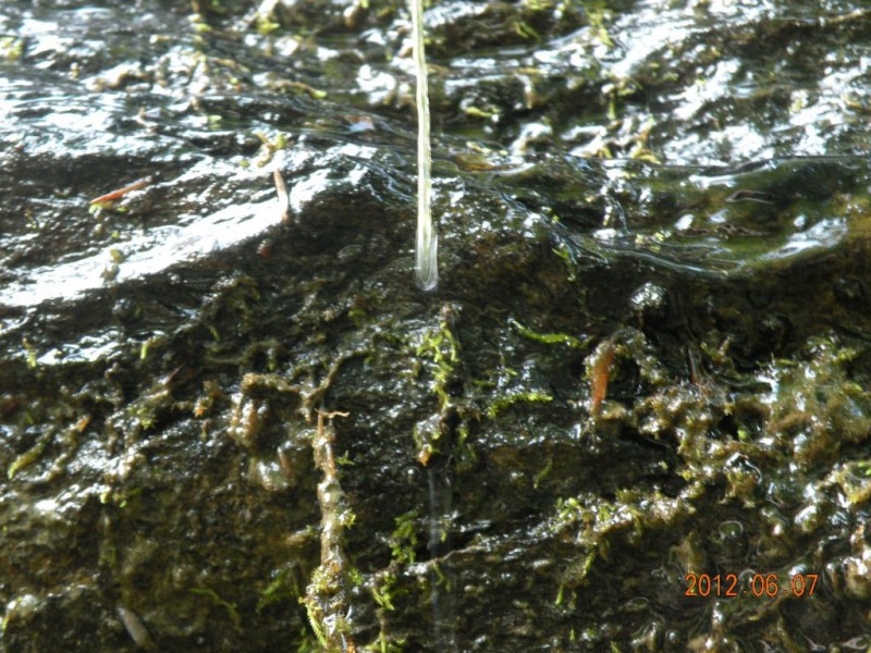DSCN6236.JPG