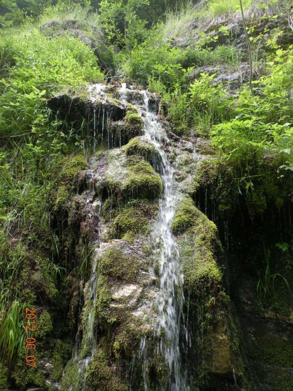 DSCN6238.JPG