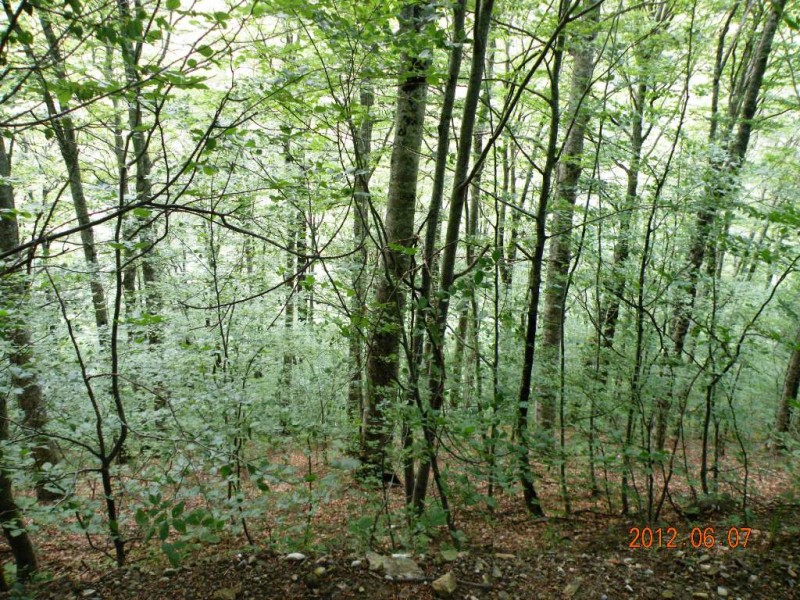 DSCN6245.JPG