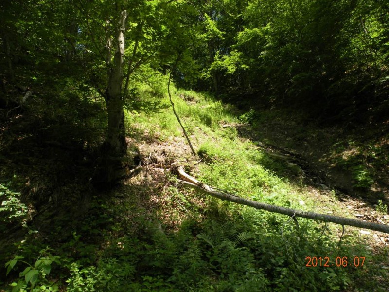 DSCN6248.JPG