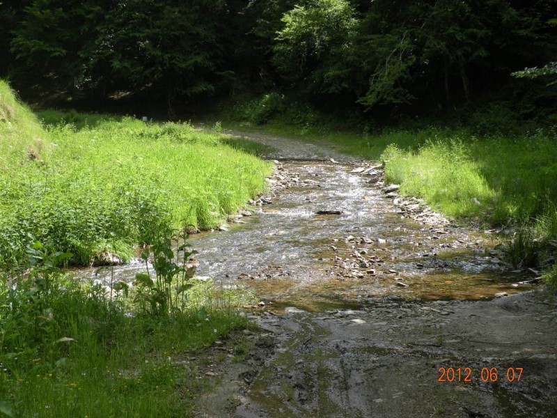 DSCN6251.JPG