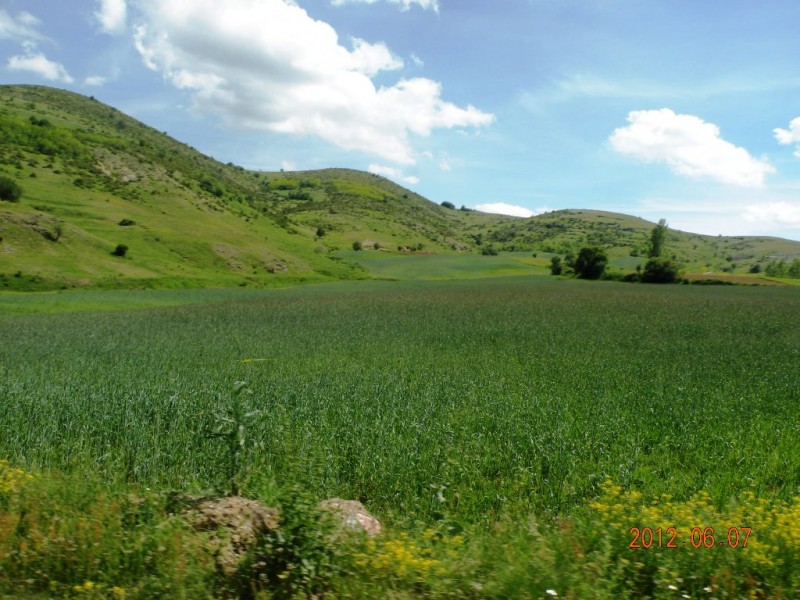 DSCN6267.JPG