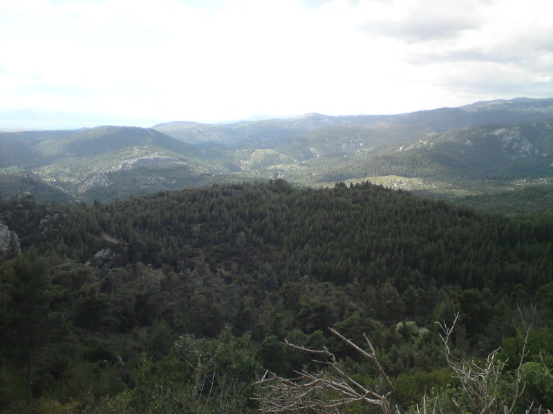DSC00650.jpg