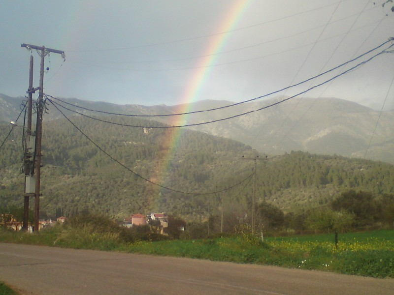 DSC00655.jpg