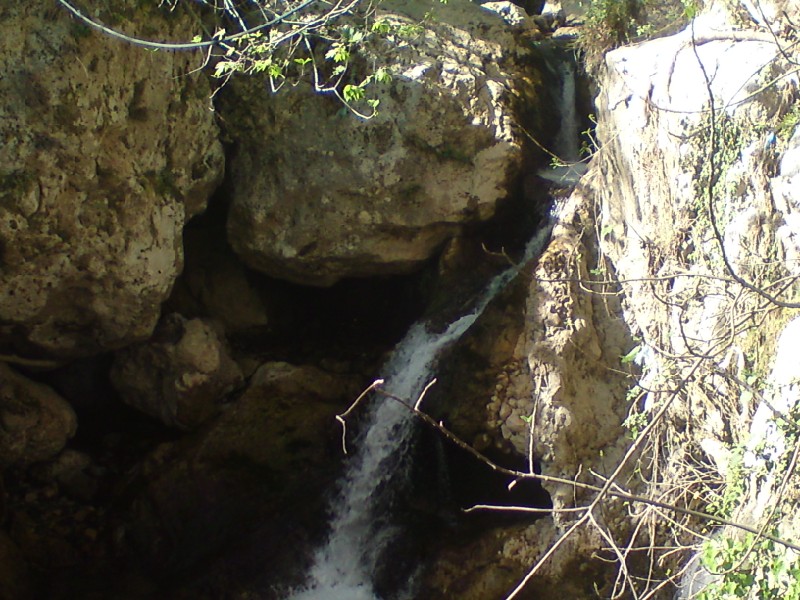 DSC00664.jpg