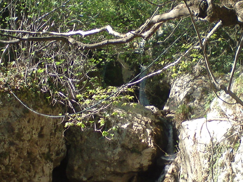 DSC00665.jpg