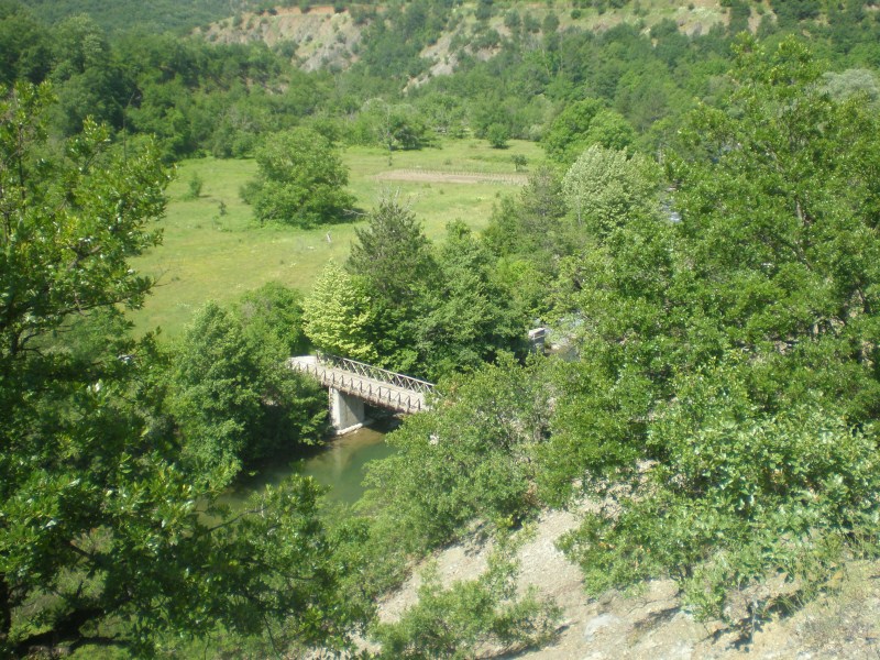 P6030044.jpg