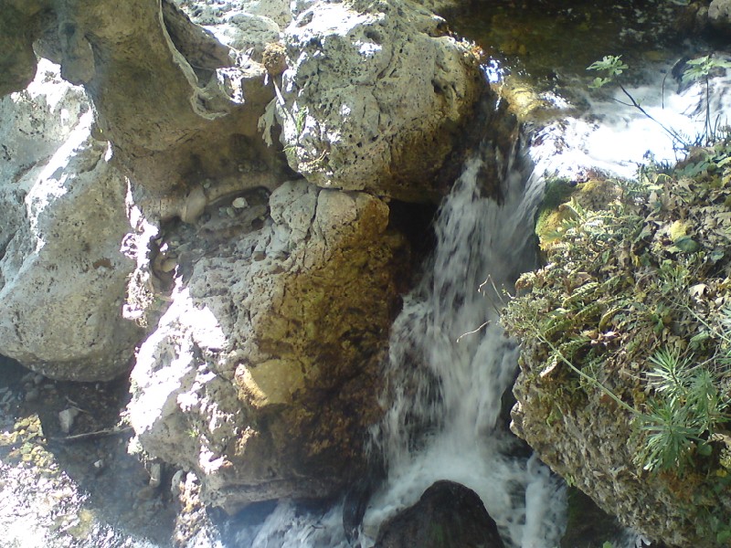 DSC00669.jpg
