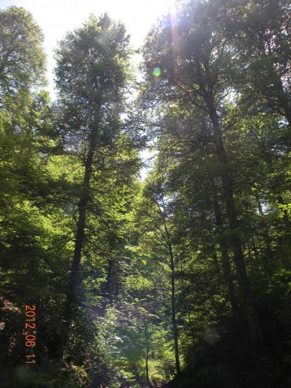DSCN6285v.JPG