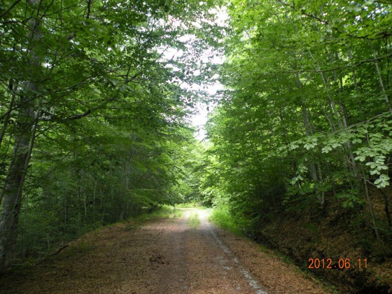 DSCN6288v.JPG
