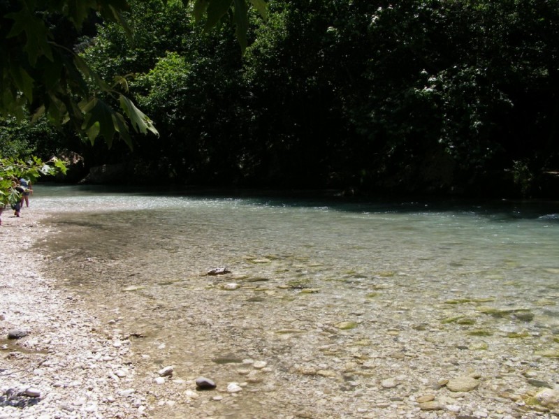 P6031831.jpg