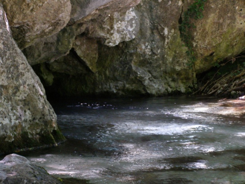P6031844.jpg