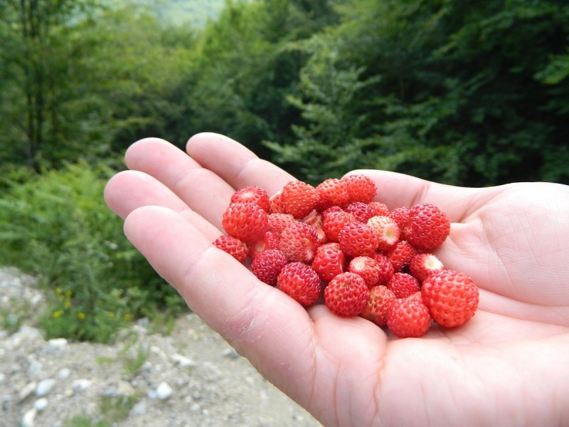 DSCN1730.JPG