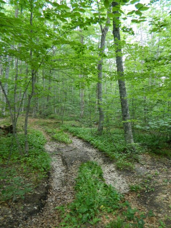 DSCN1669.JPG