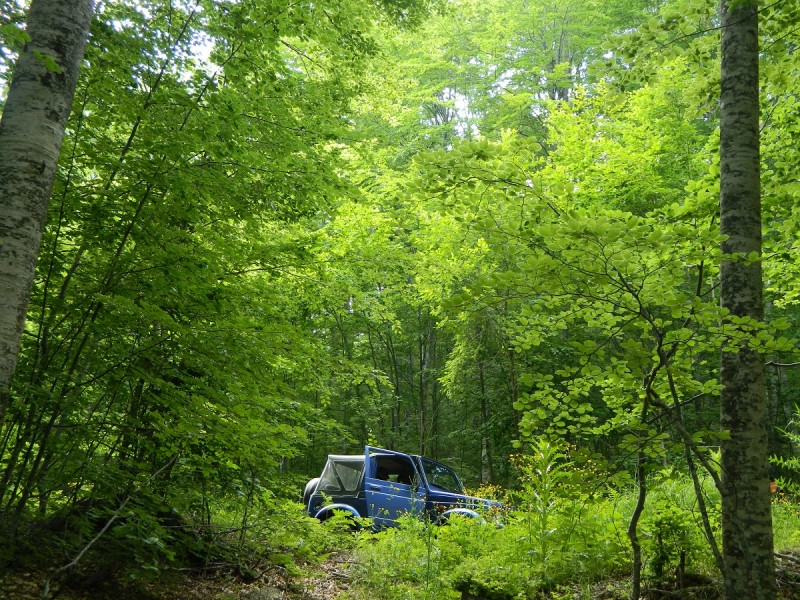 DSCN1671.JPG
