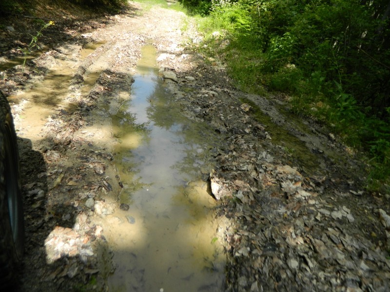 DSCN1673.JPG