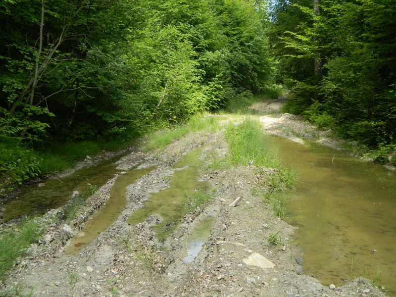 DSCN1675.JPG