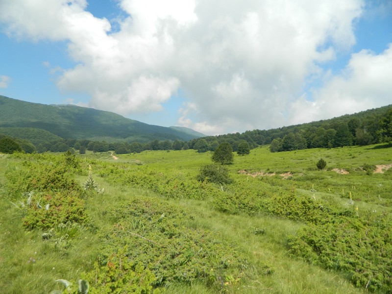 DSCN1681.JPG