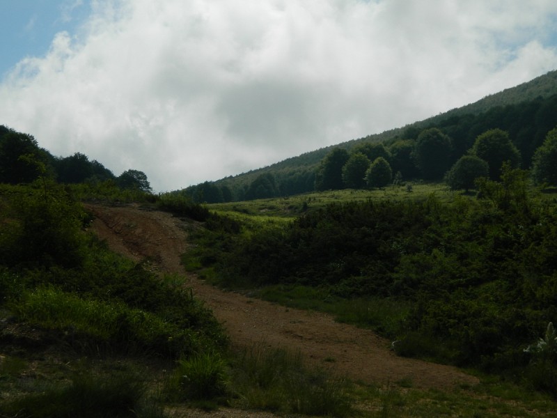 DSCN1683.JPG
