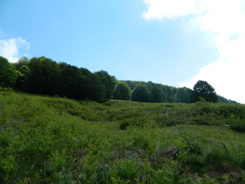 DSCN1684.JPG