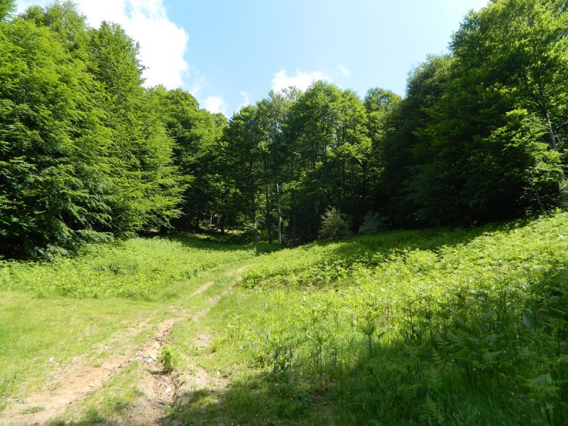 DSCN1687.JPG