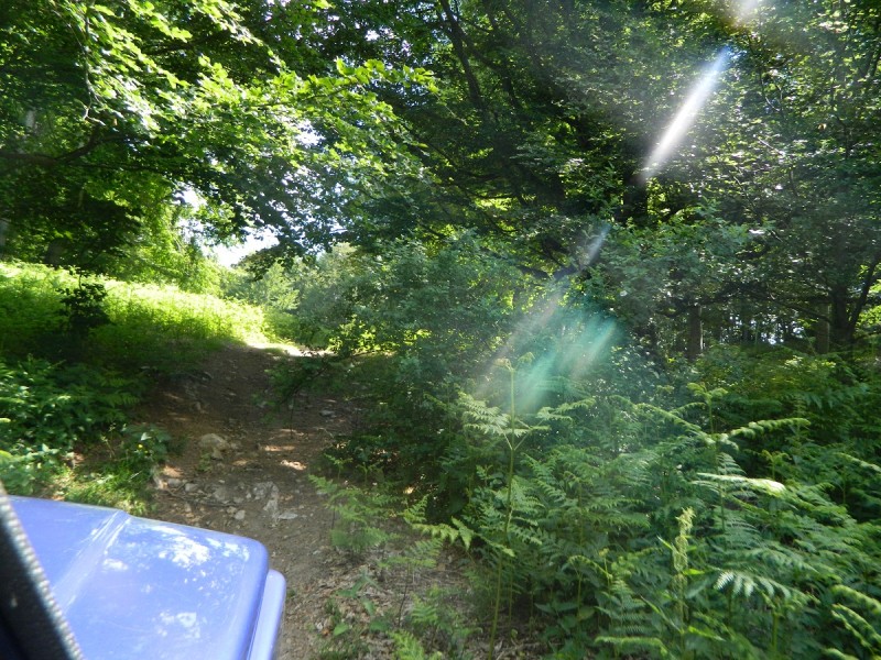 DSCN1691.JPG