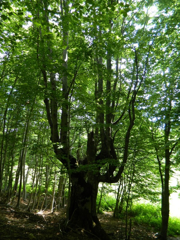DSCN1693.JPG