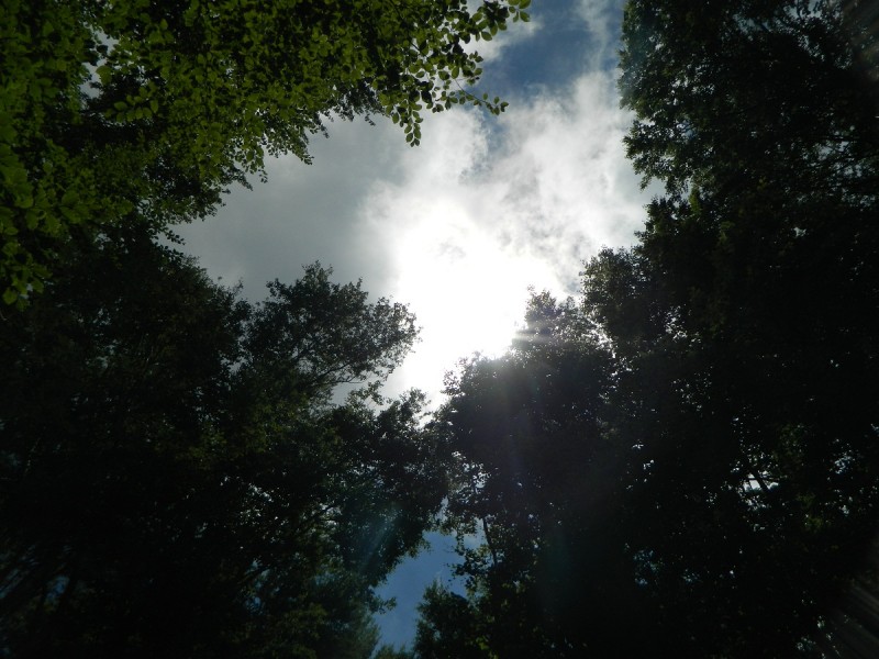 DSCN1704.JPG