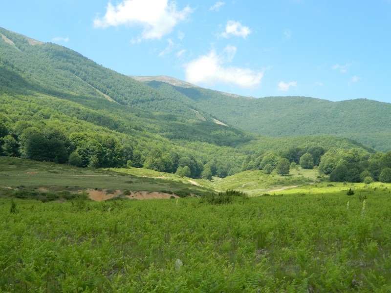 DSCN1712.JPG