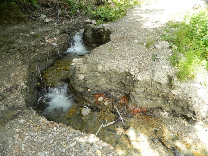 DSCN1713.JPG