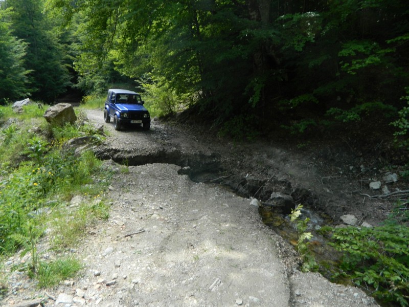 DSCN1715.JPG