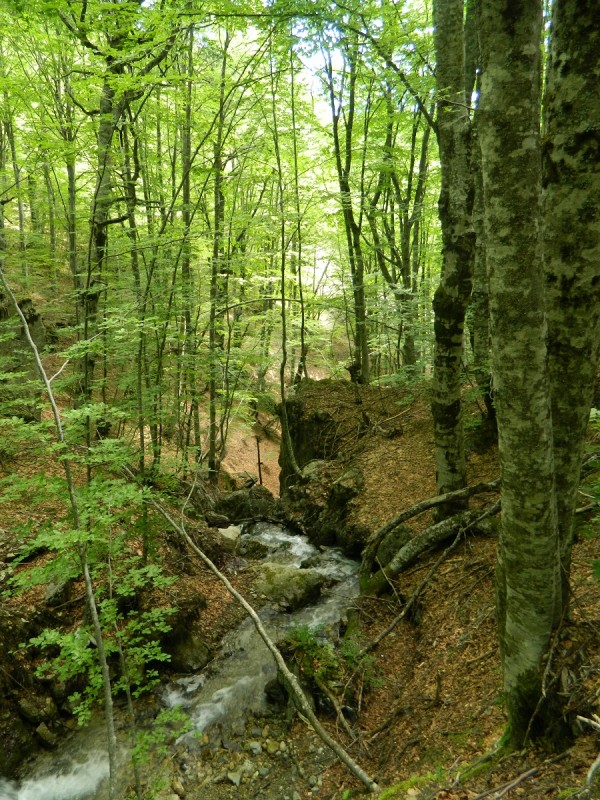 DSCN1720.JPG