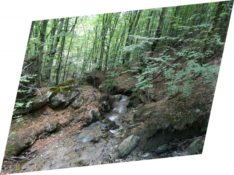 DSCN1719.JPG