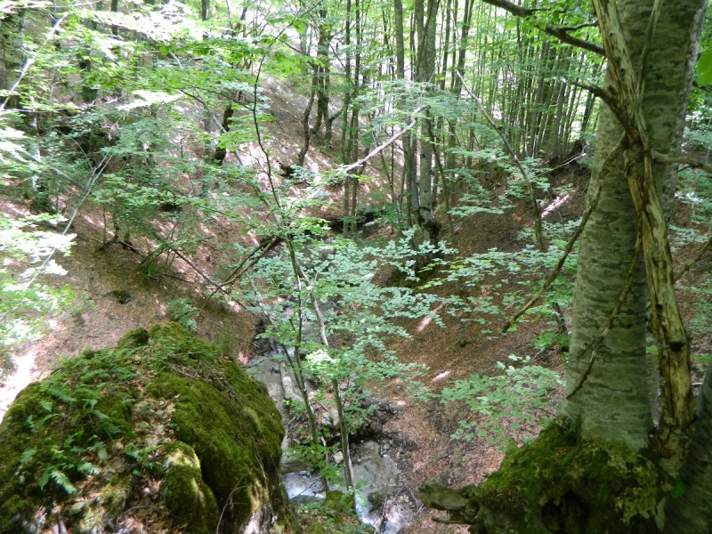 DSCN1724.JPG