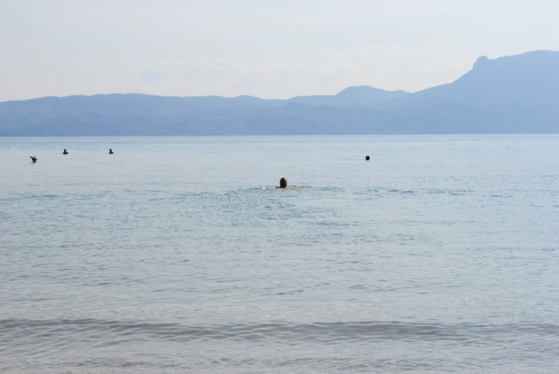 DSC_5644.jpg