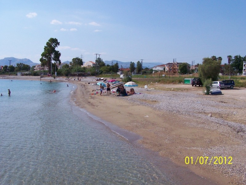 Braxati_03.jpg