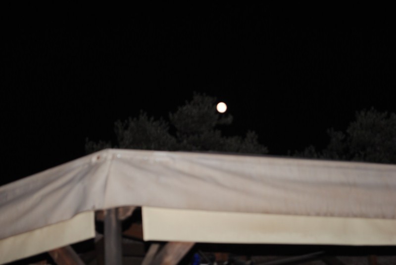 DSC_5786.jpg