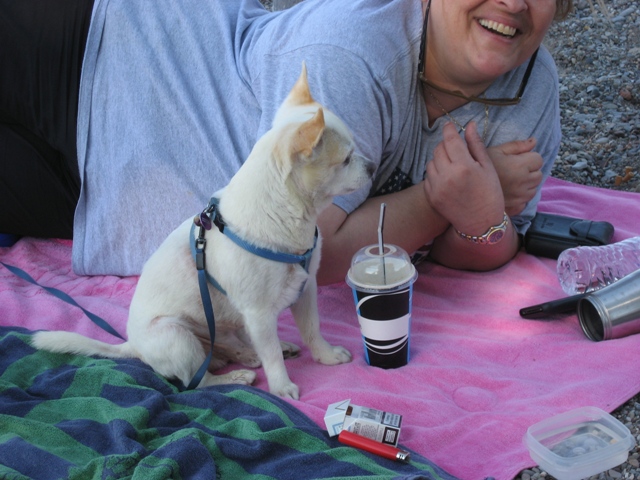 IMG_3691.JPG