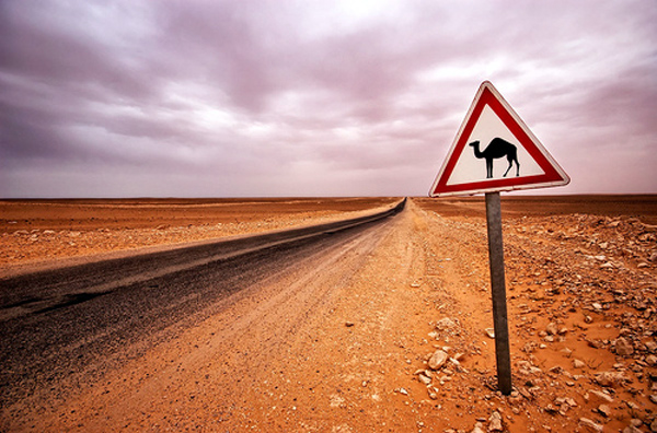 roads9.jpg