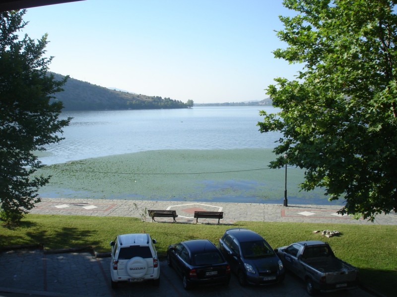 DSC02051.jpg