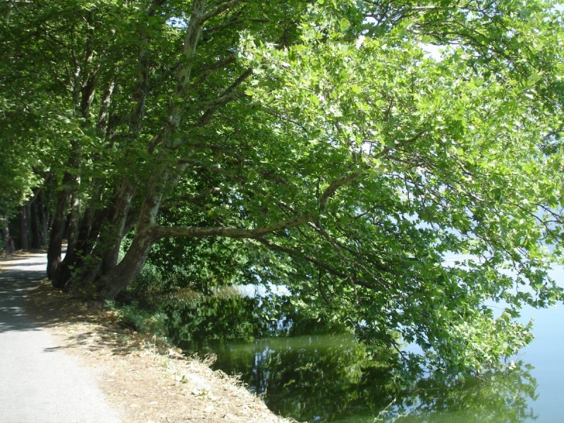 DSC02052.jpg