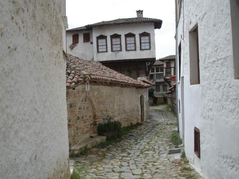 DSC02110.jpg