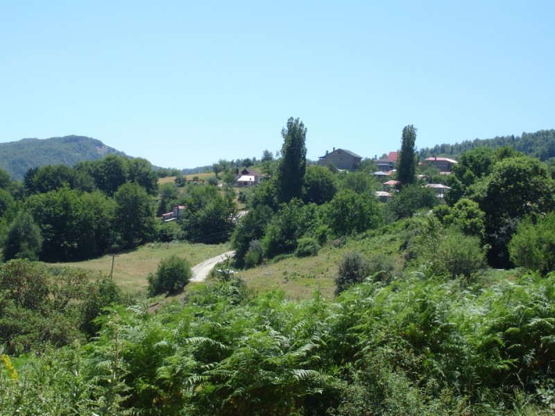 DSC02075.jpg