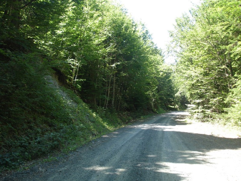 DSC02080.jpg