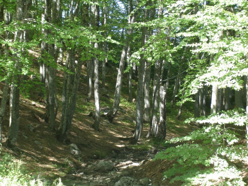DSC02088.jpg